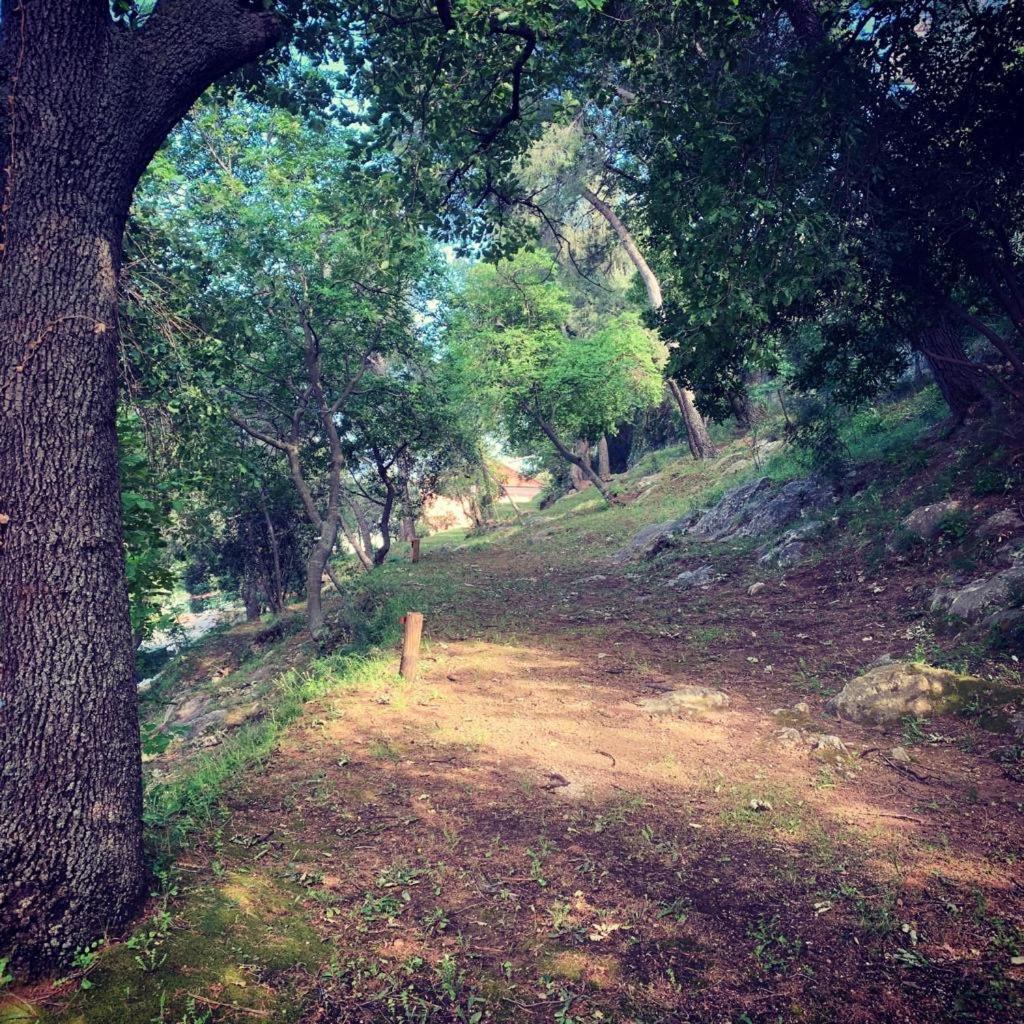 Parco Vacanze E Appartamenti Pfirsich بورجيتو سانتو سبيريتو المظهر الخارجي الصورة